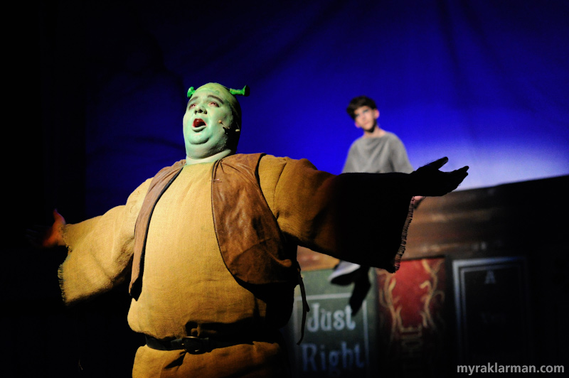 Shrek The Musical | Andrew Nazarro’s rendition of “What I’d Be” gave me major goosebumps.