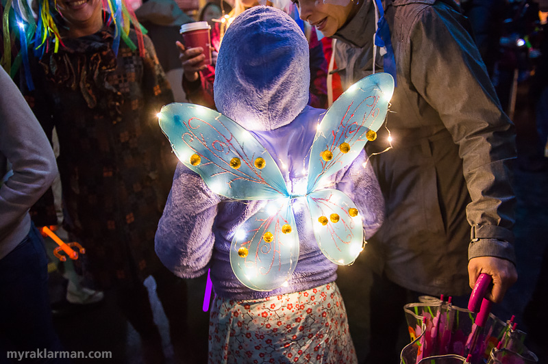 FoolMoon 2015 | A butterfly and her cohorts take cover as well. 