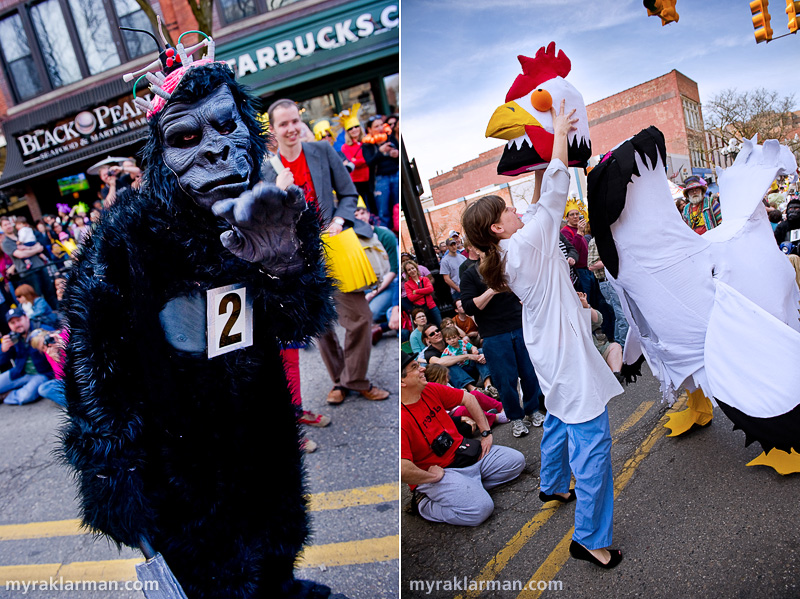 FestiFools 2010 | Watch out for Gorilla #2. He/she looks none too remorseful after viciously chopping off the head of a defenseless chicken. 